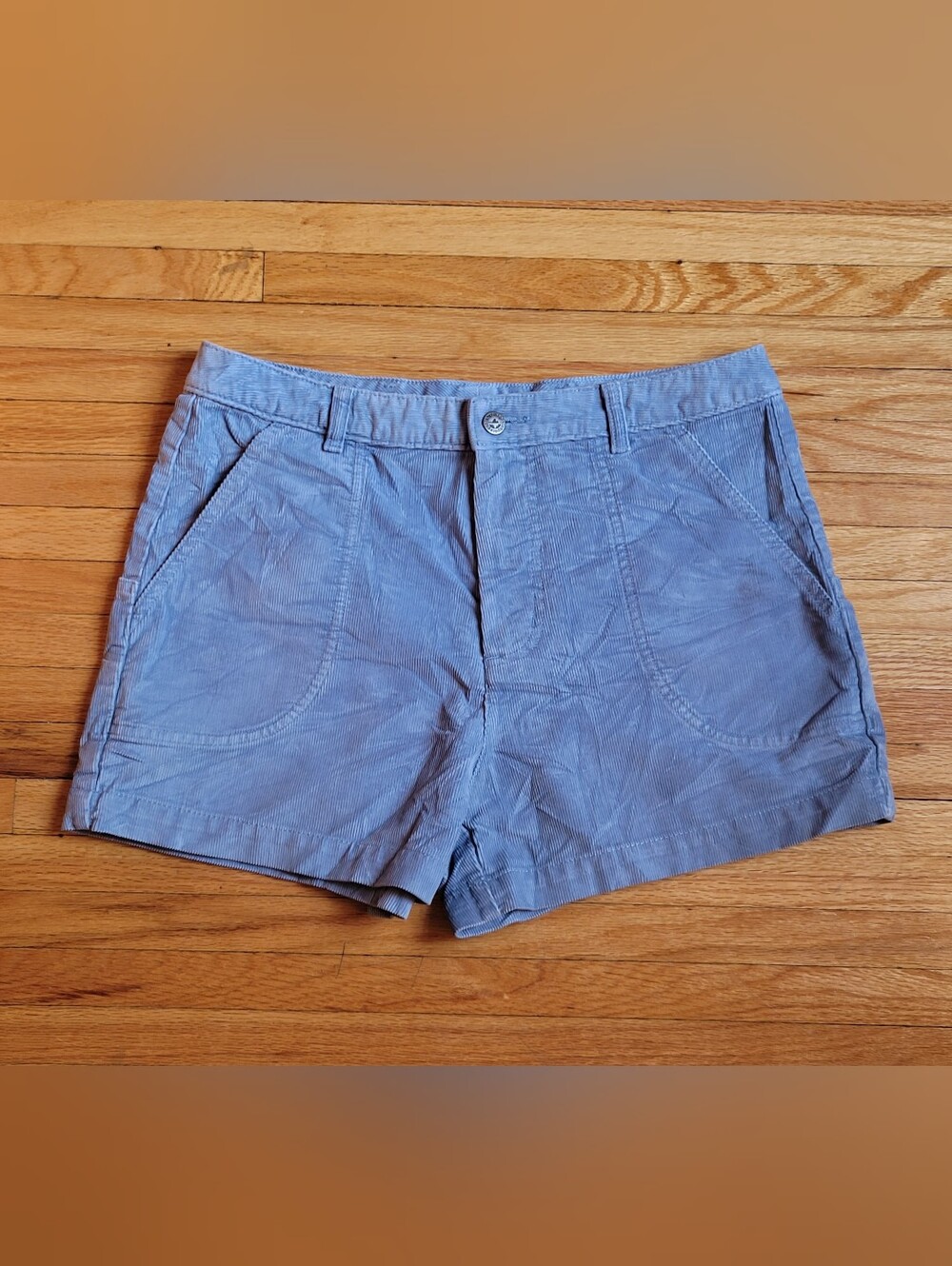 Patagonia Women's Corduroy Stand Up Shorts Size 12 Light Blue Gorpcore Outdoors
